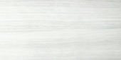 12X24F Ice Polished | Tiles By Kia