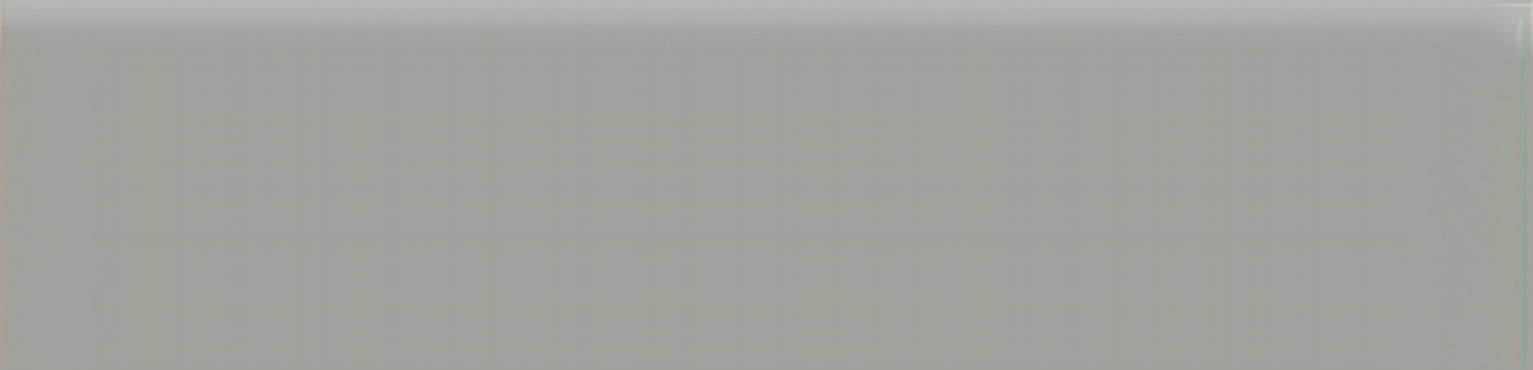 2×8 Taupe Matte Bullnose