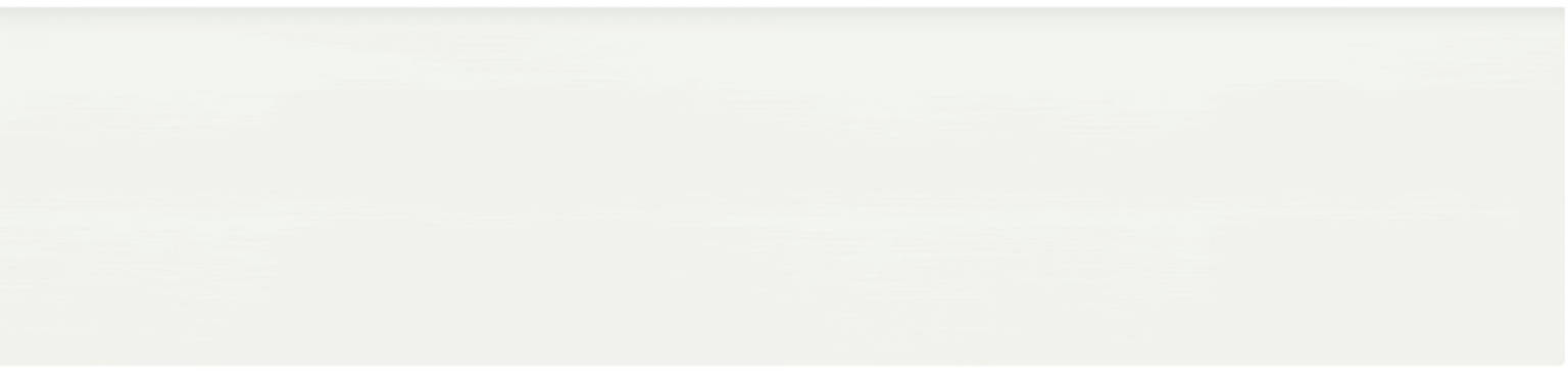 2×8 White Matte Bullnose