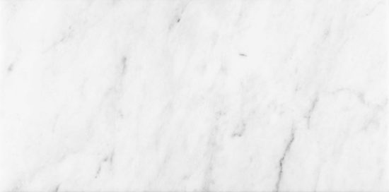 Bianco Venatino 12x24 Honed