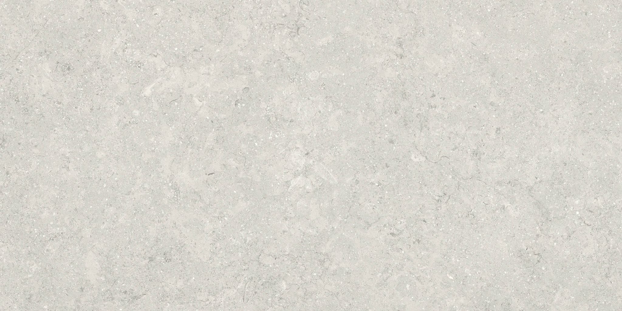 Denver 12X24F Desert Matte