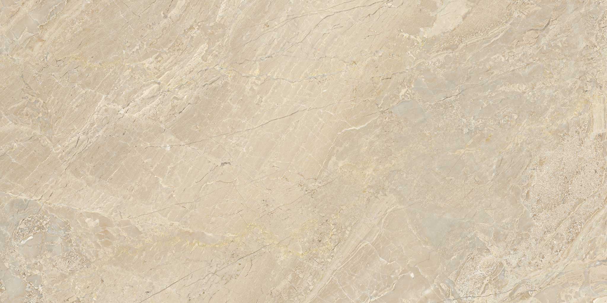 Impero Reale 12x24 Polished