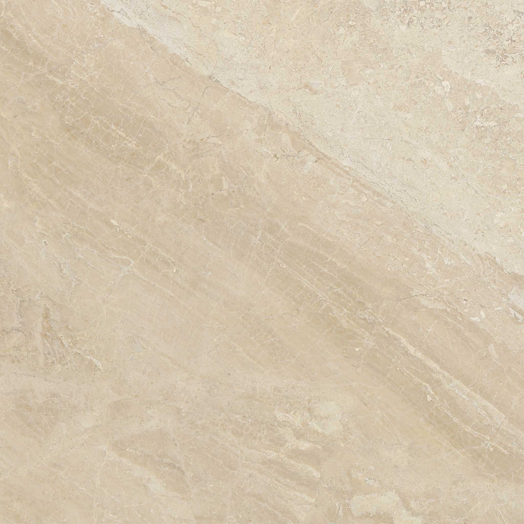 Impero Reale 24x24 Polished