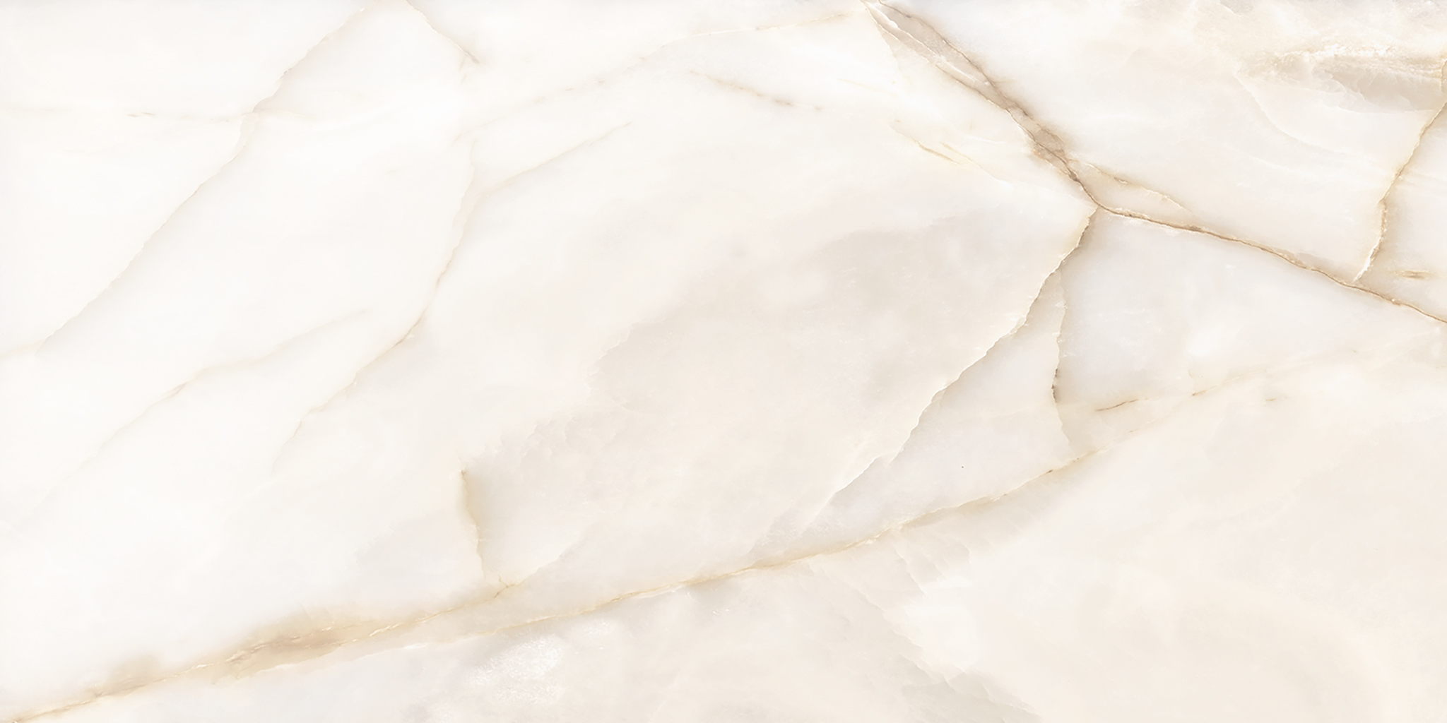 Intrigue Ivory Matte 24x48