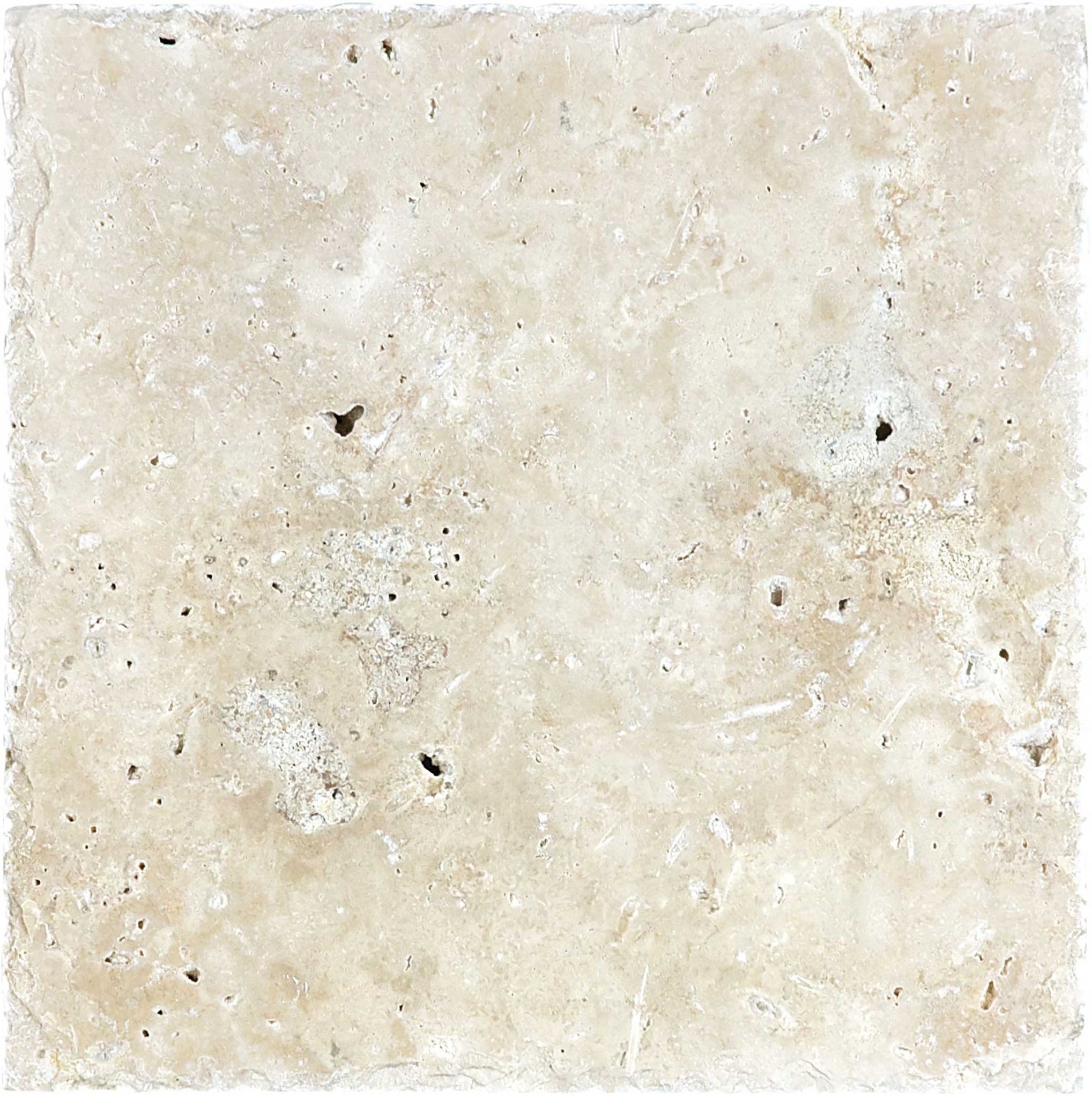 Ivory 8x8