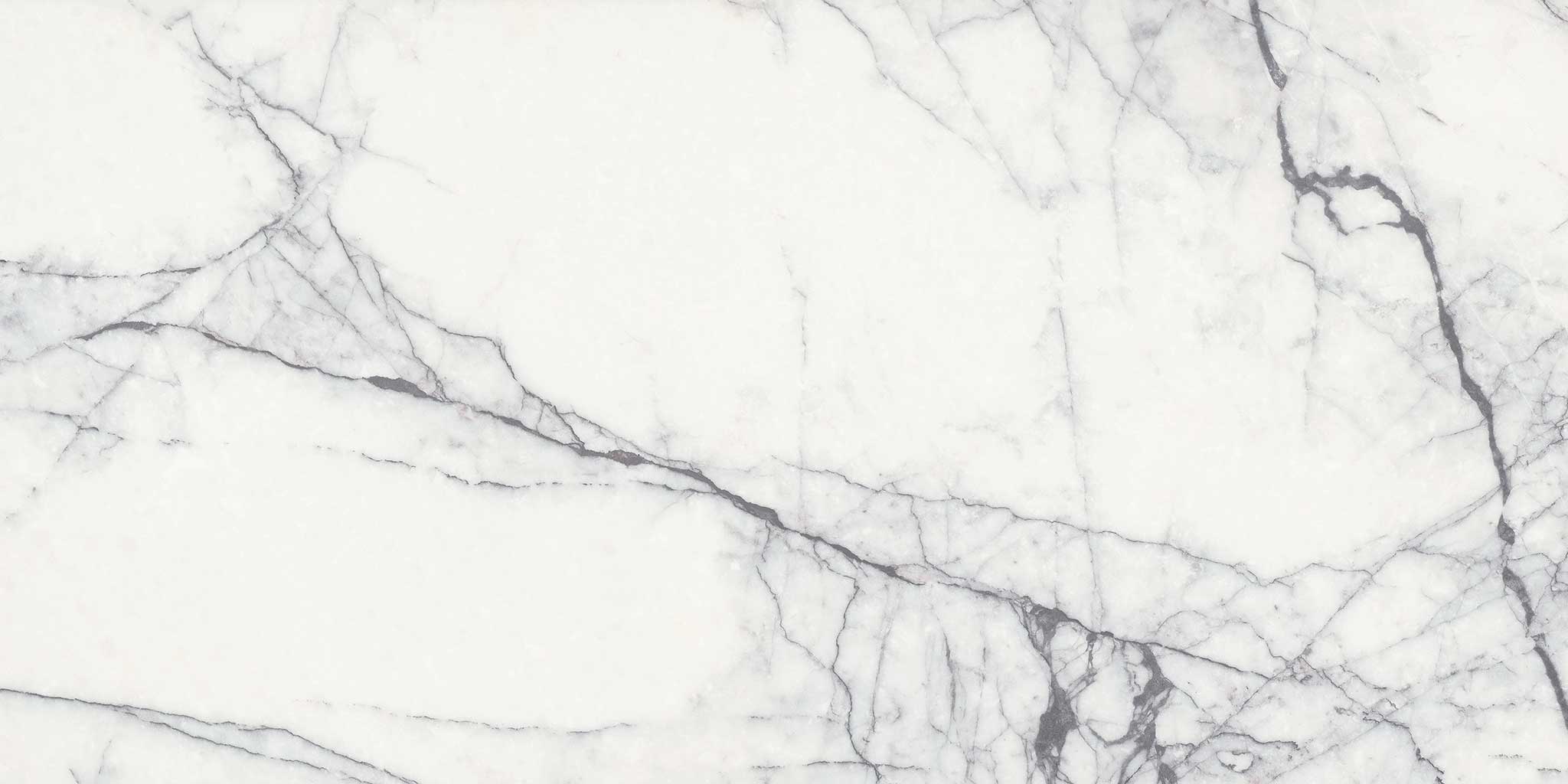 Lilac Volta 18x36