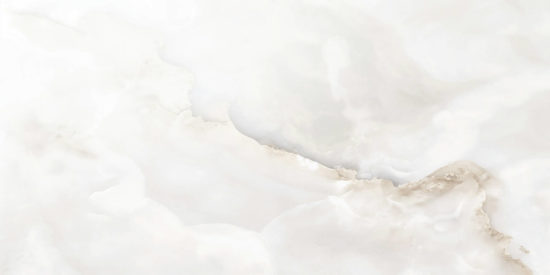 Rendezvous White Polished 24x48 | Tiles By Kia