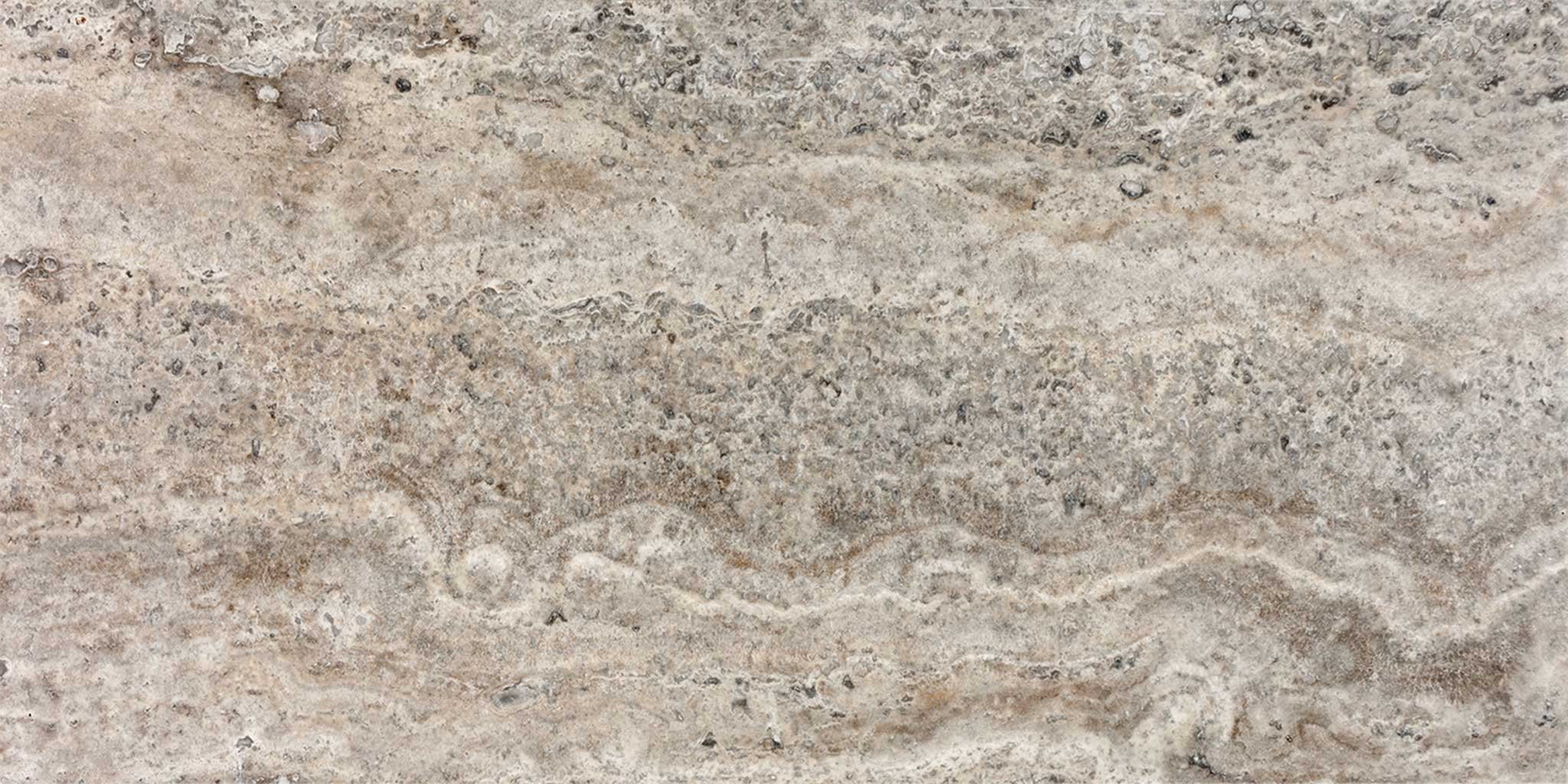 Silver Ash 12×24