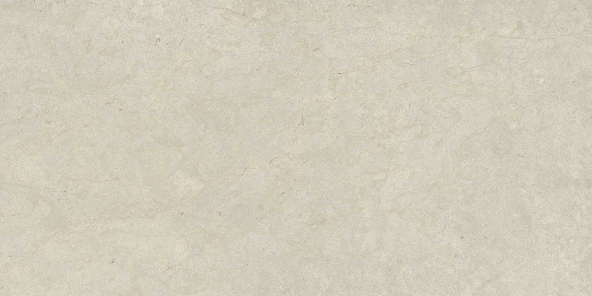 Tierra Halo 12×24