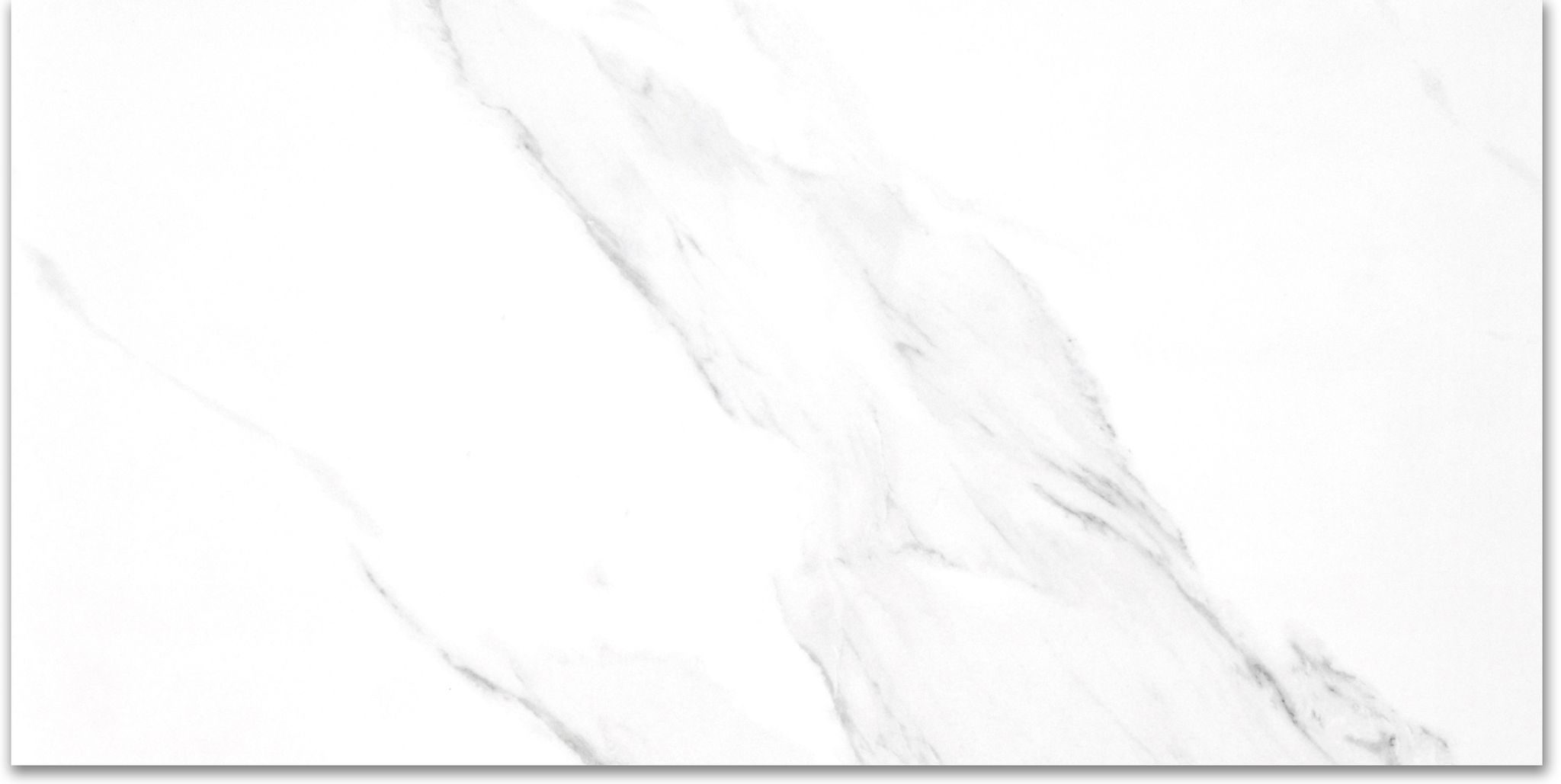 Treasure 12×24 Statuario Polished