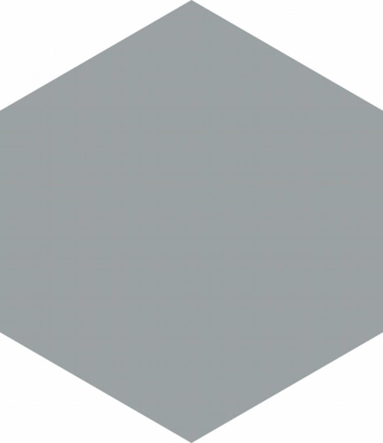 Vida 5.5X6.3” Grey Hexagon | Tiles By Kia