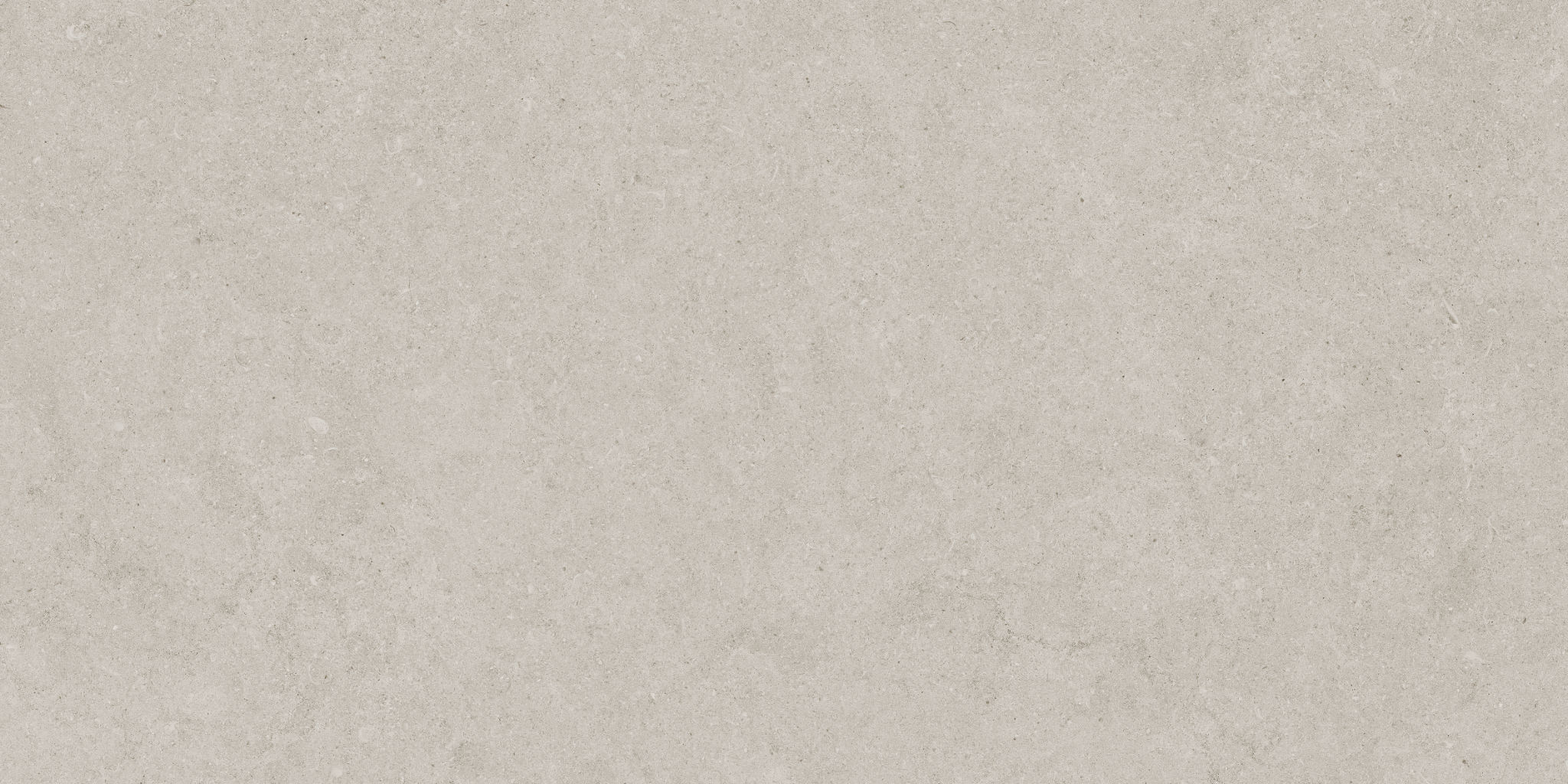 Lithoform 12X24 Crosscut Coast