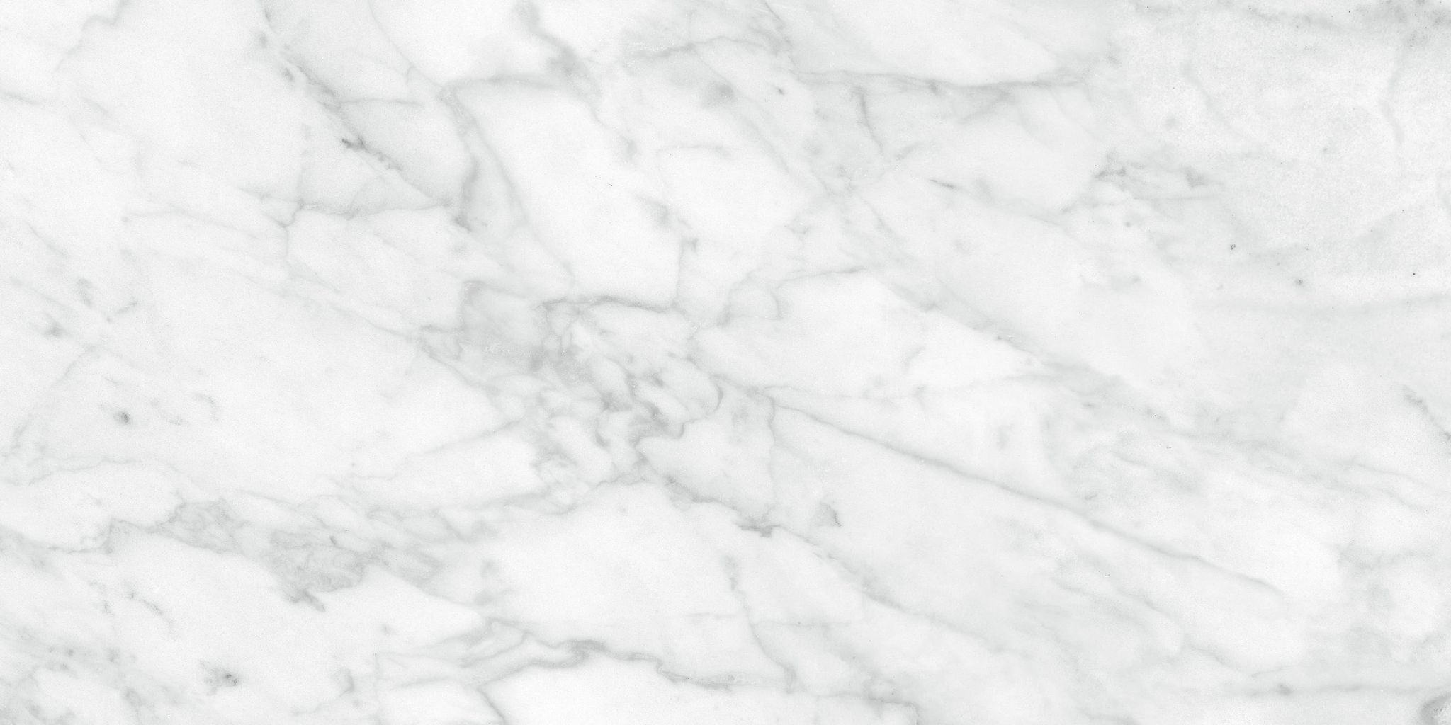 Plata 12x24 Carrara Abisso Polished