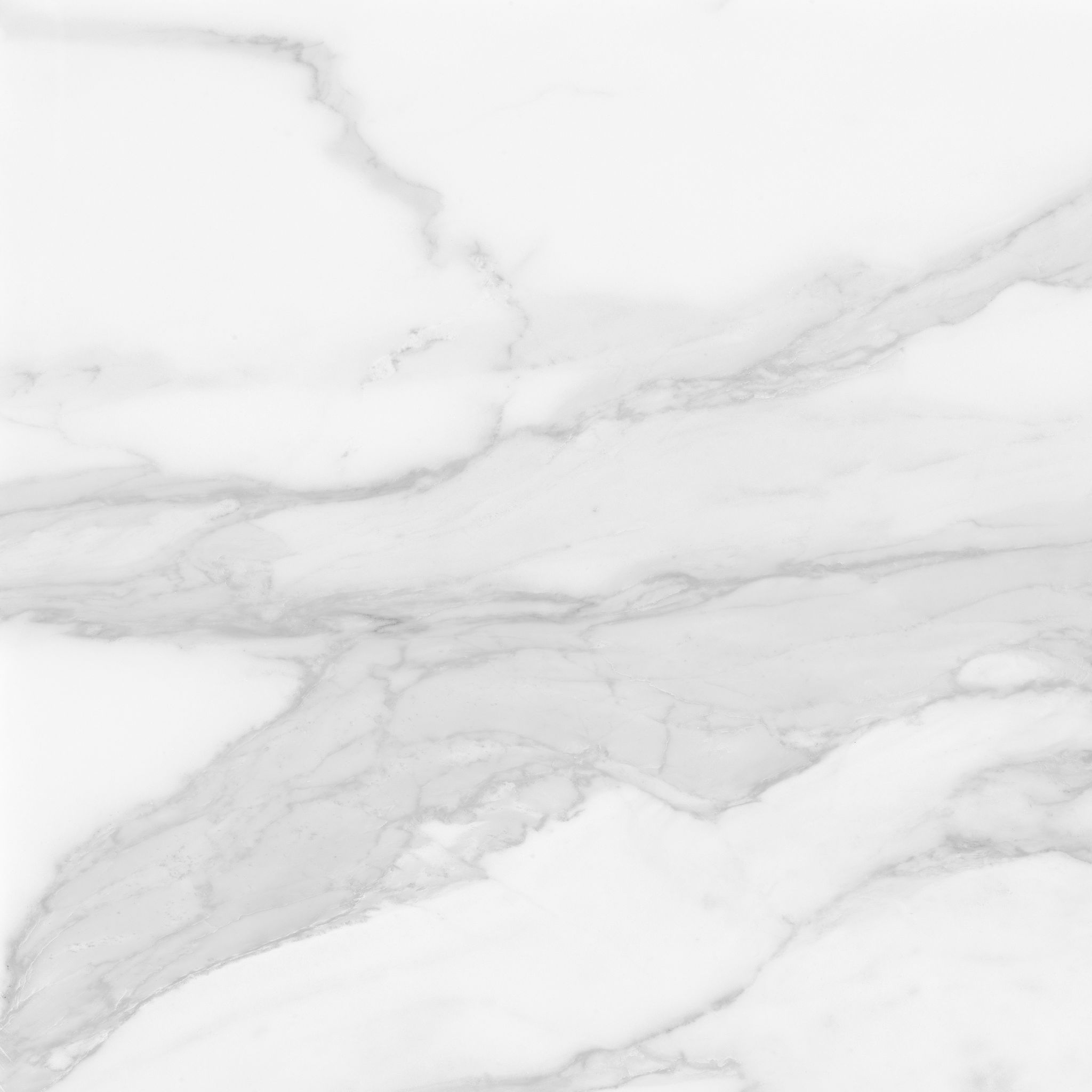 Plata 24x24 Statuario Brina Polished