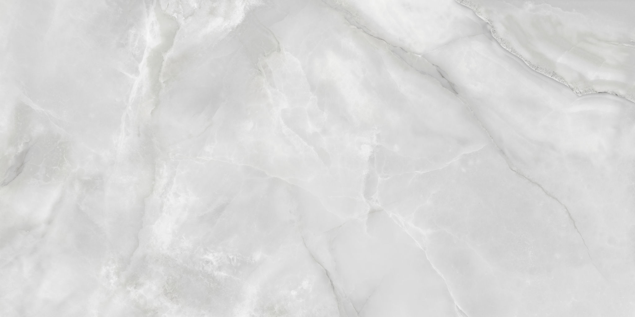Plata 24x48 Onyx Crystallo Matte