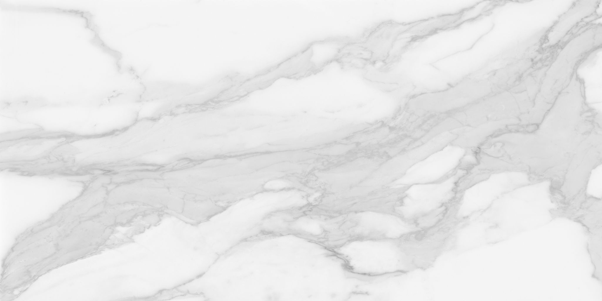 Plata 24x48 Statuario Brina Polished