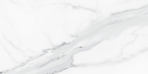 Royal Stoneworks 12X24 Grandvein White Polished