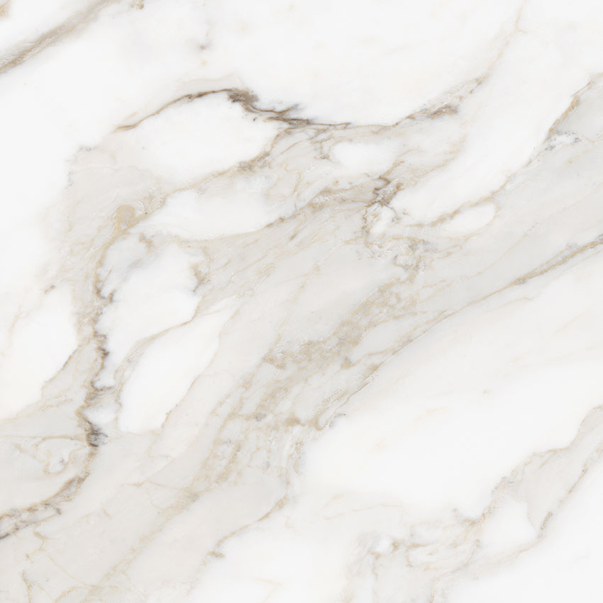 Royal Stoneworks 24X24 Calacatta Royale Polished