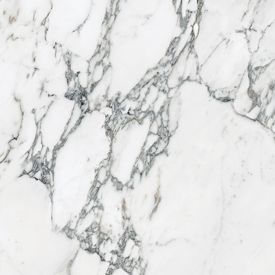 Royal Stoneworks 24X24 Italian Arabescato Polished
