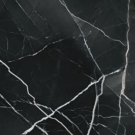 Royal Stoneworks 24X24 Regal Black Vein Polished