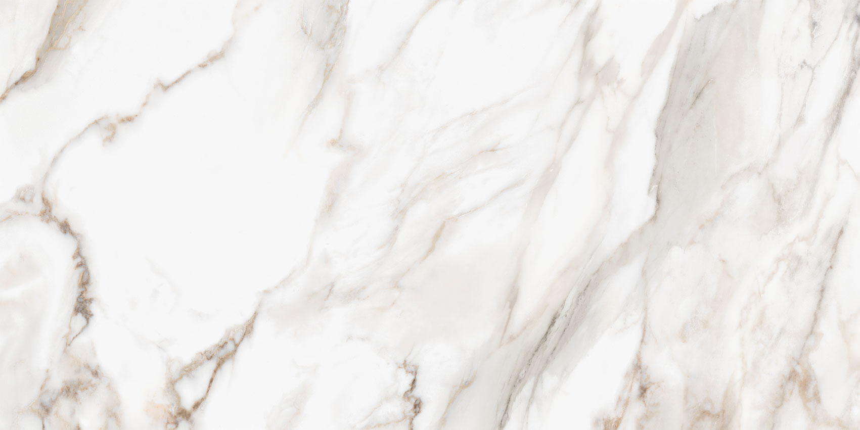 Royal Stoneworks 24X48 Calacatta Royale Polished