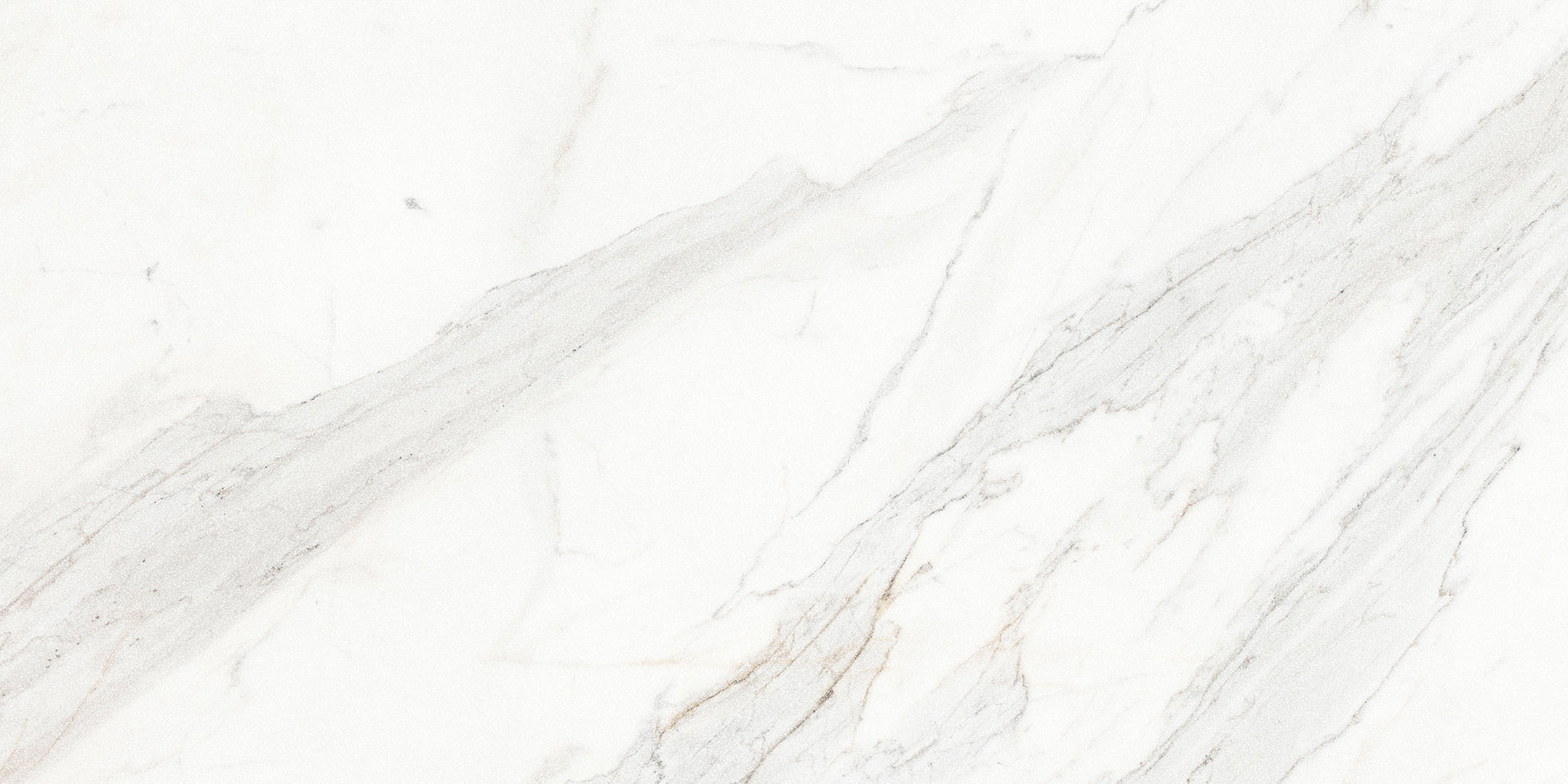 Royal Stoneworks 24X48 Crown Calacatta Honed
