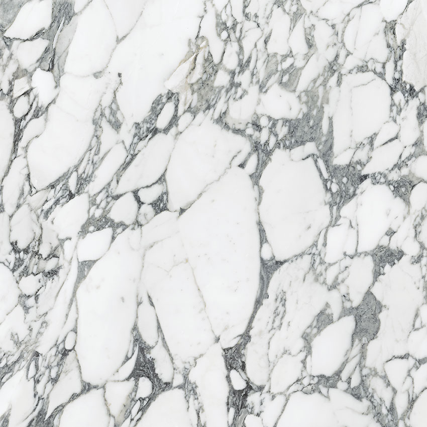 Royal Stoneworks 36X36 Italian Arabescato Honed
