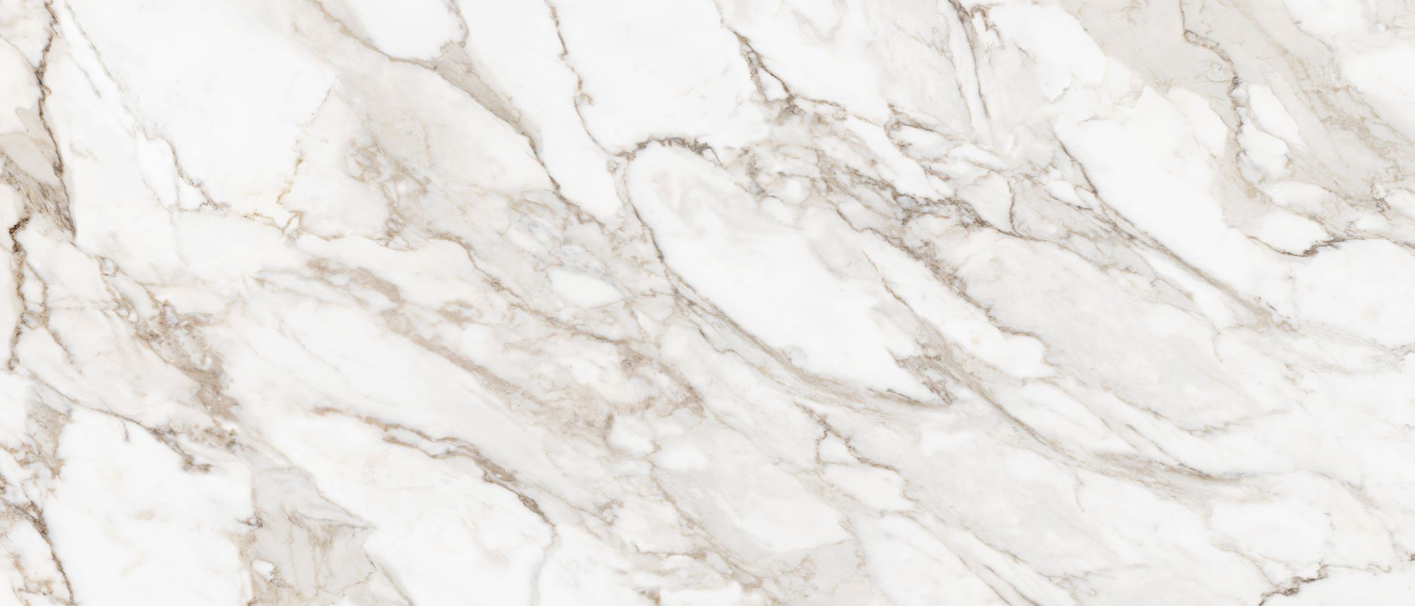 Royal Stoneworks 48X110 Calacatta Royale Polished