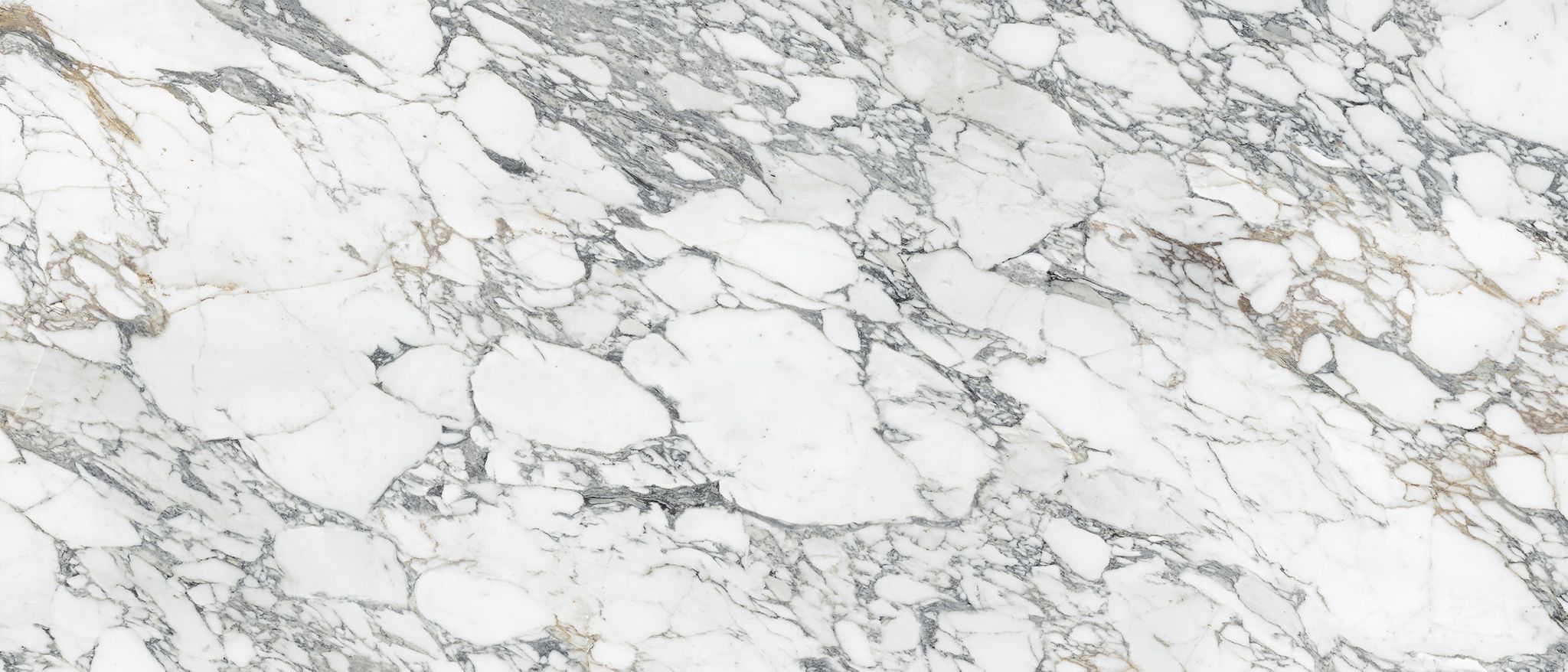 Royal Stoneworks 48X110 Italian Arabescato Polished