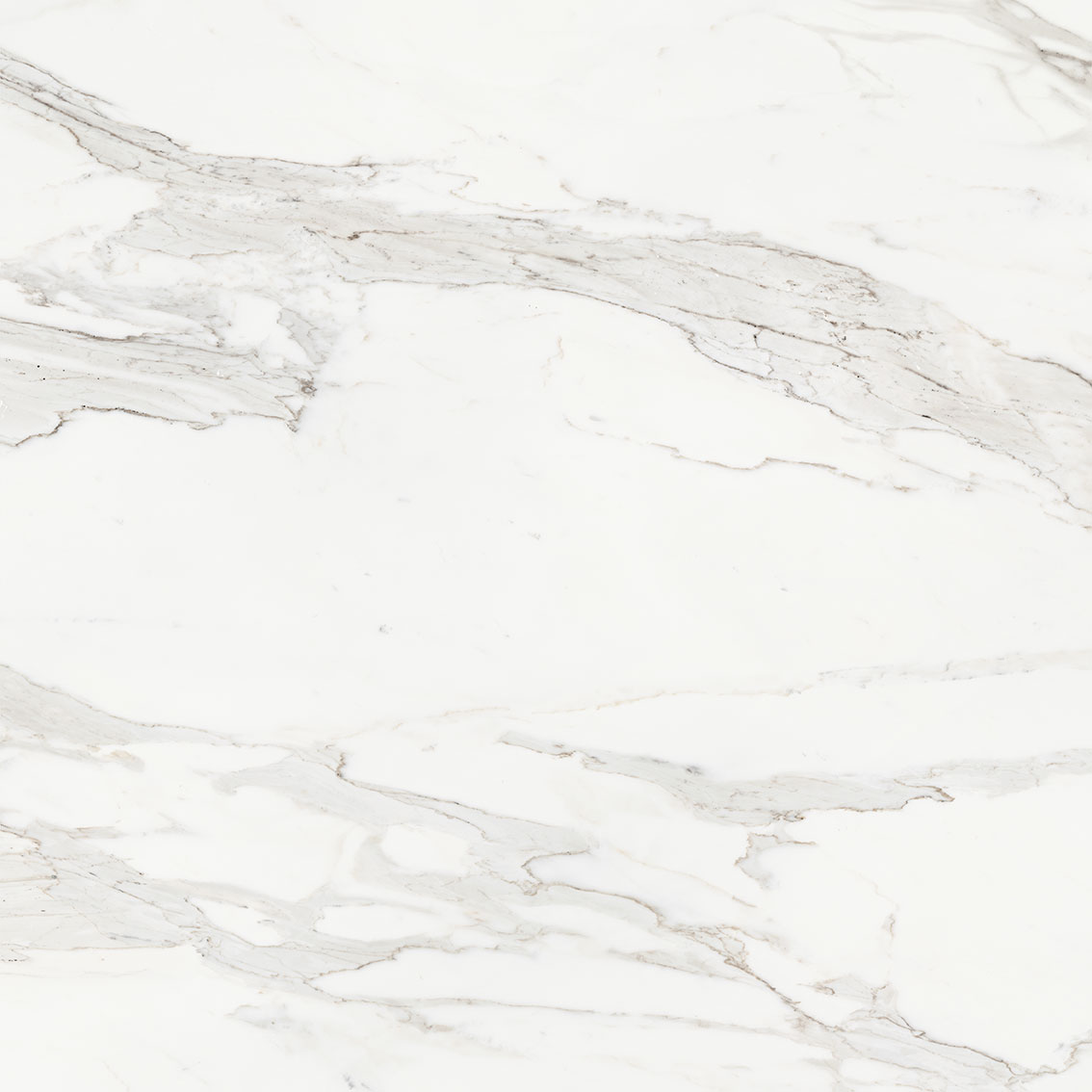Royal Stoneworks 48X48 Crown Calacatta Polished