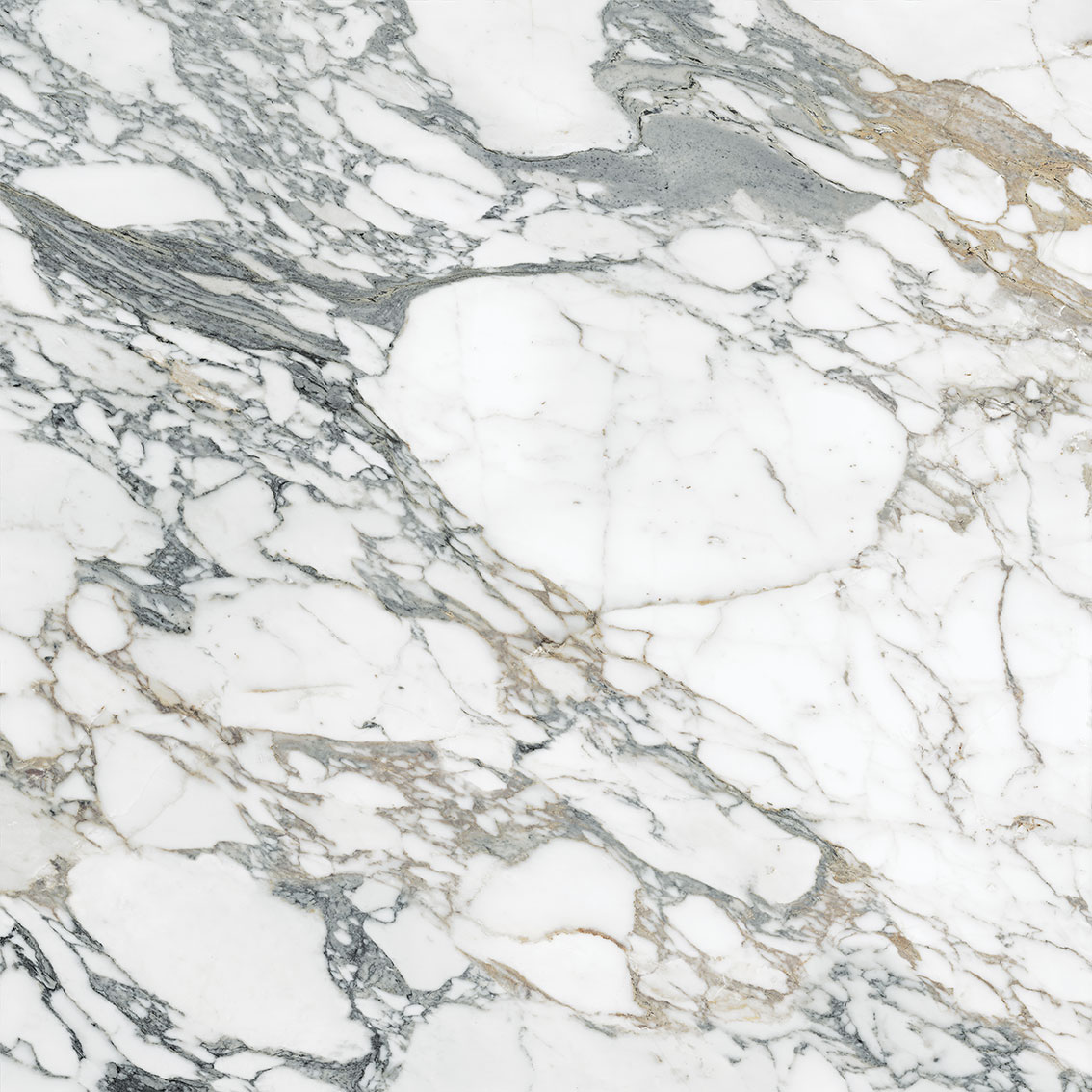 Royal Stoneworks 48X48 Italian Arabescato Honed