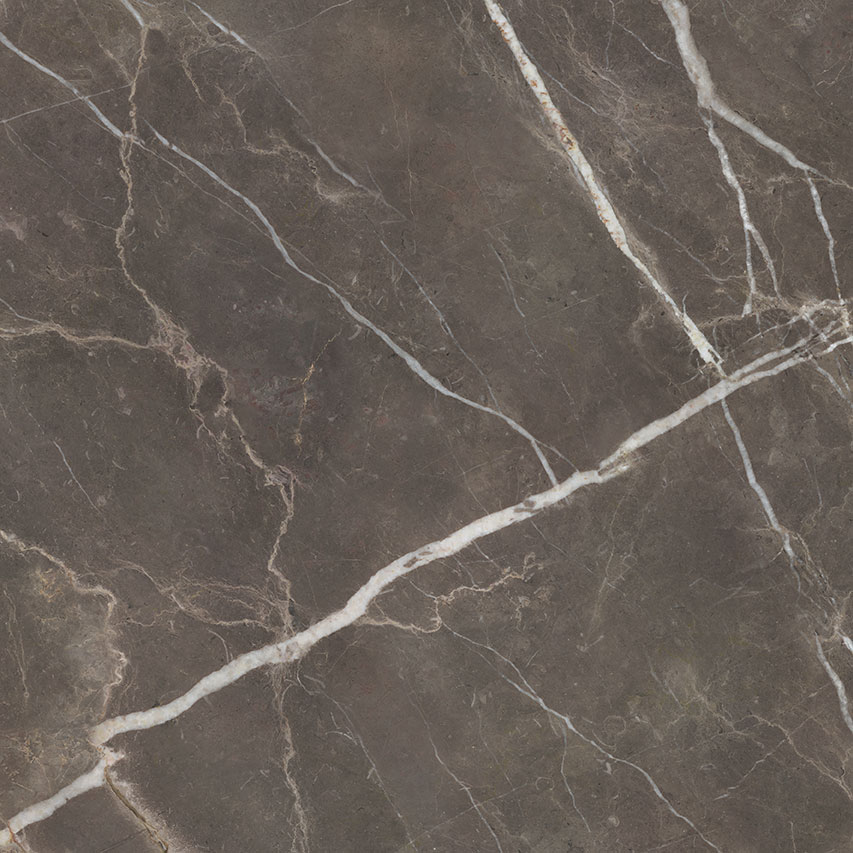 Royal Stoneworks 48X48 Regal Brown Marble Honed