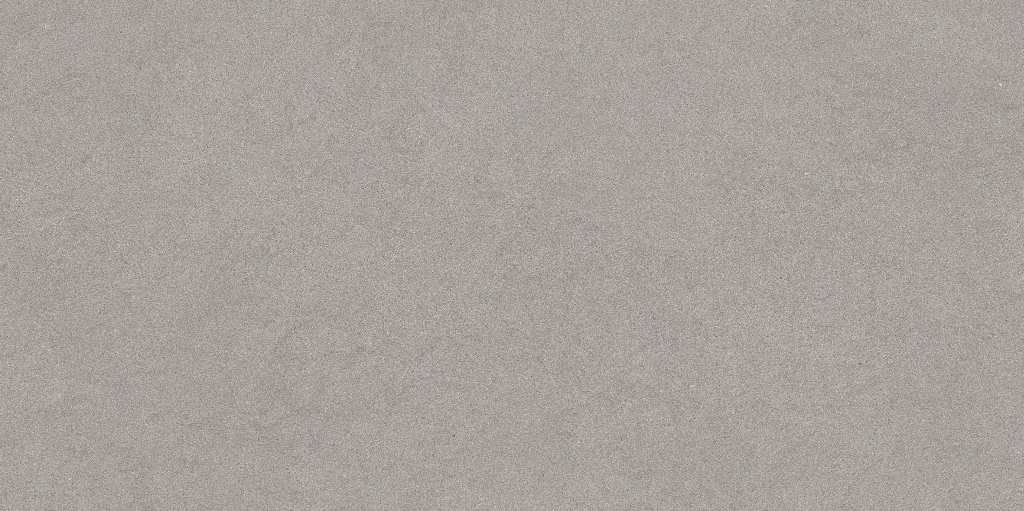 Serena 12X24 Pewter