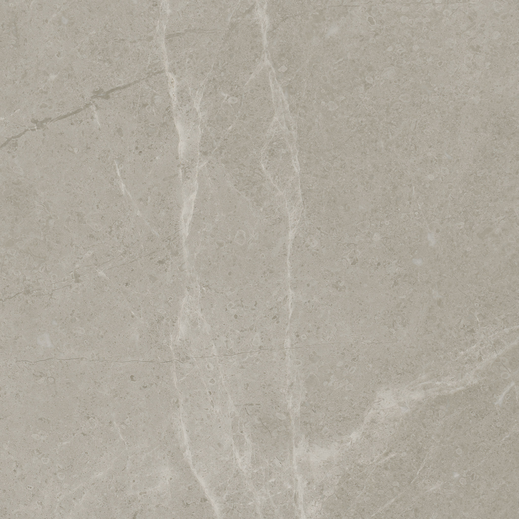 Torino 13×13 Vanizio