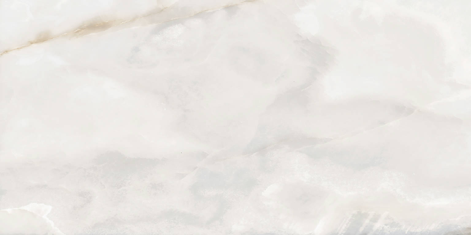 Rendezvous White Matte 24x48