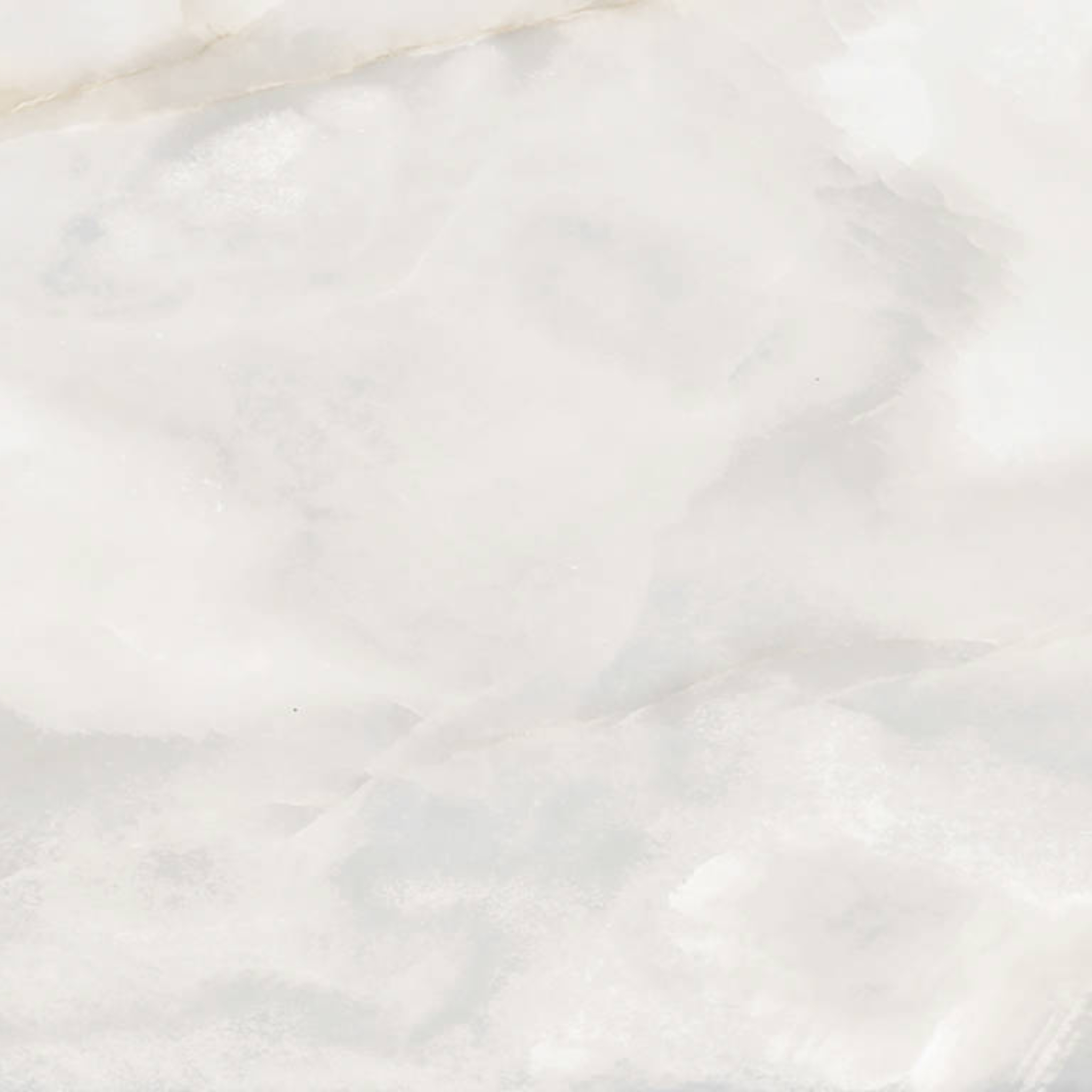 Rendezvous White Polished 24x24