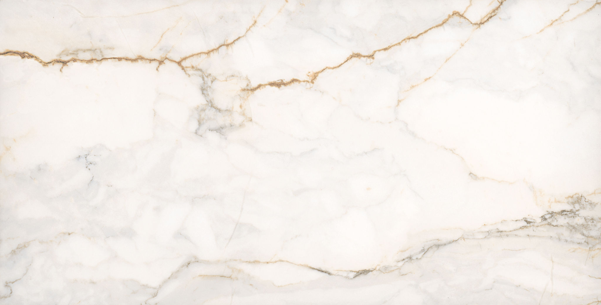 Treasure II Perfect Calacatta 12x24 Polished
